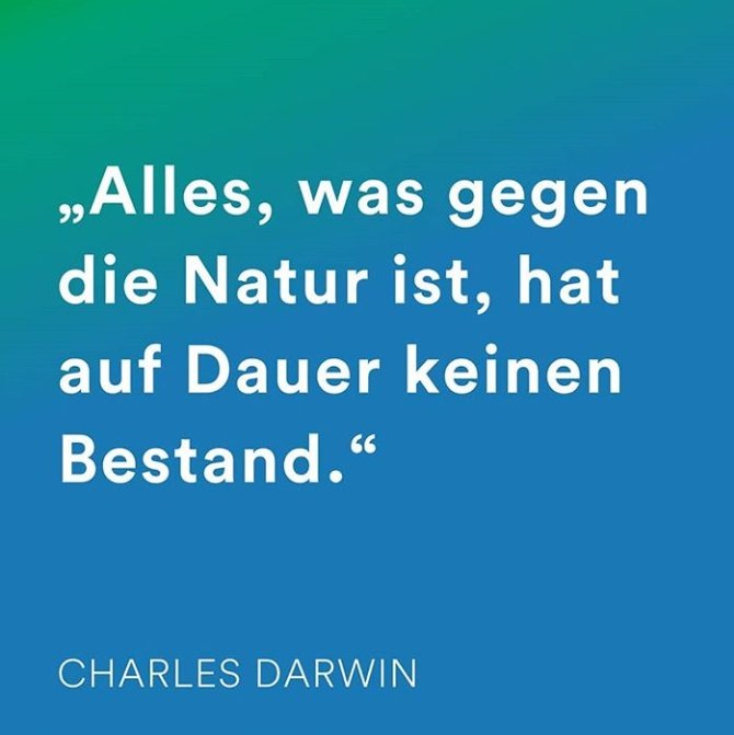 Es ist alles gesagt, naja fast alles.