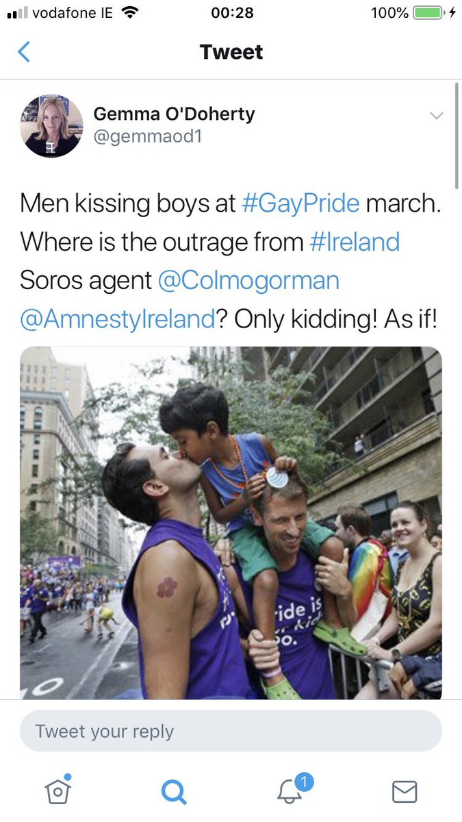 Here’s more sinister tweets that I believe any good person of conscience would see as homophobic. Please note that LGBTQI are protected within the constitution & Ireland has incitement to hatred laws. Also the identifiable pic of 2 gay dads is definitely libellous. Another breach