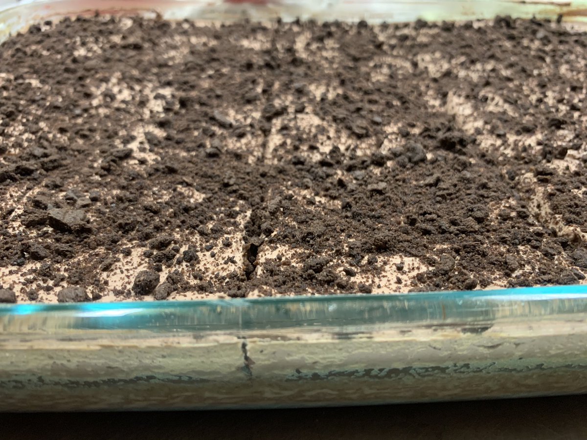 _cafeverde's tweet image. We are having  pastel tres leches chocolate today!