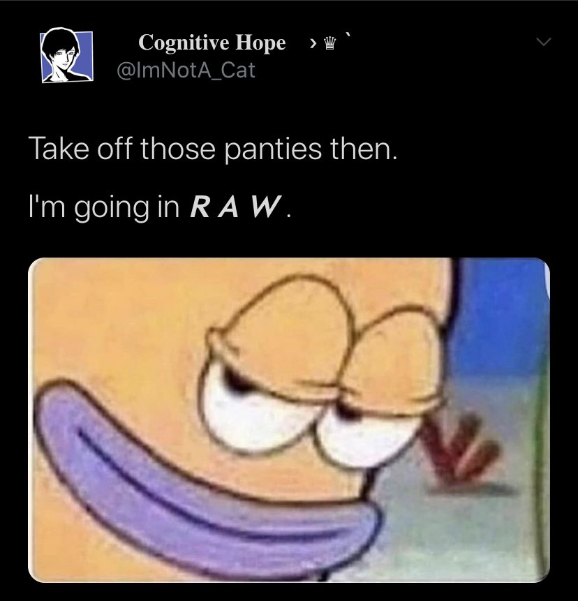 ooceli's tweet image. 