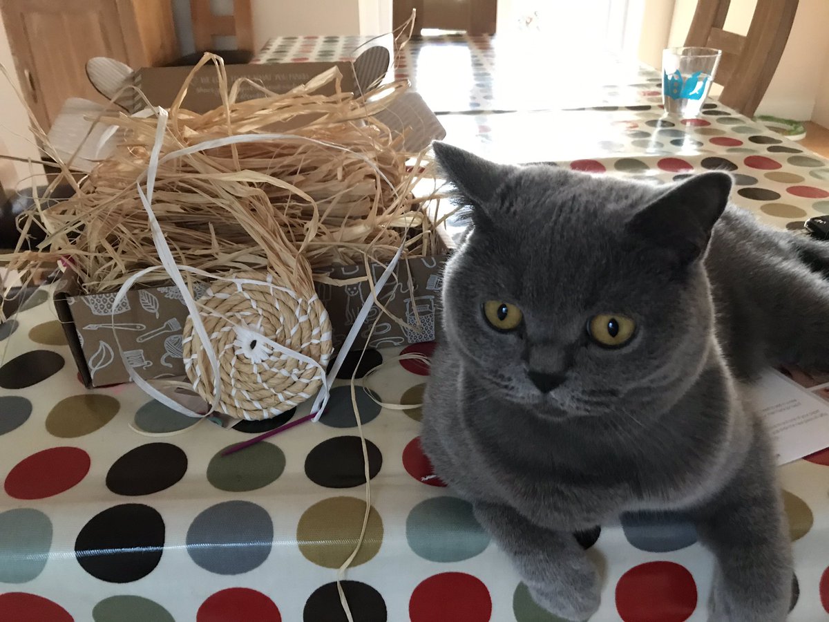 Raffia Basket Craft Kit | Craftiosity craftiosity.co.uk/craftiosity-ki… the cat is loving this one!