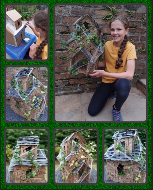 Caledonia Primary tweet media