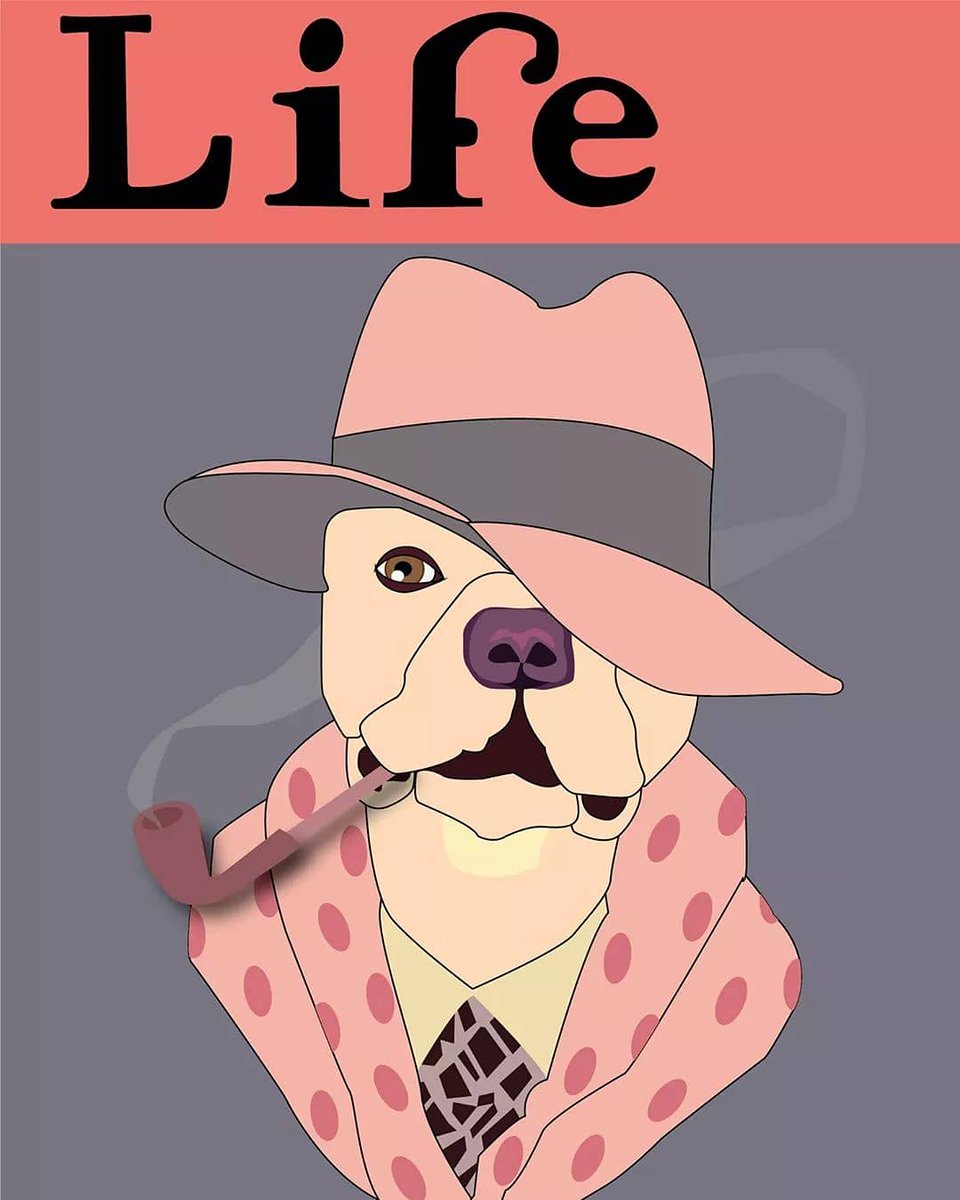 DebraDdesigns's tweet photo. I am working on a "Famous Pit Bull" infographic. Here are a few of my illustrations.
#pitbull #Graphicsdesign #Illustrator #illustrations https://t.co/RzfCbIErHj