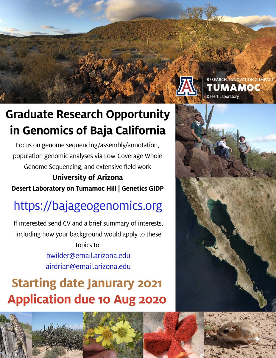 Please RT: NSF-funded PhD opportunity to work with us at the University of Arizona in population genomics of plants and animals from the Baja California Peninsula.   + info: 
bajageogenomics.org