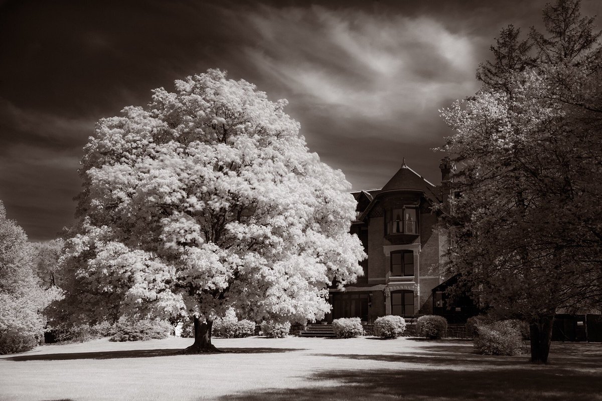 dfgstudios1's tweet photo. It’s been awhile since I created this image but with all the changes going and the weather  not being ideal, I’ve not had the chance to go out. I created this with my #Hoya infrared filter. I love the effect but the down fall of a filter is slower shutter speed #hoyafilterusa https://t.co/9w5AjsuyQE