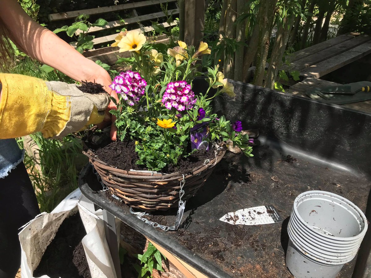 IEHeatonPark (@ieheatonpark) on Twitter photo We have hanging baskets for sale tomorrow from 11-1pm. Many thanks to <a href="/NWIBofficial/">North West in Bloom</a> 💚💚💚 We have hanging baskets for sale tomorrow from 11-1pm. Many thanks to <a href="/NWIBofficial/">North West in Bloom</a> 💚💚💚