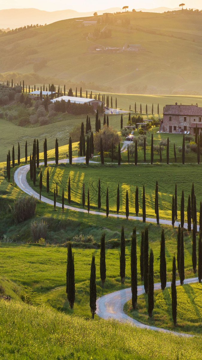 أريد أن عيش في قرية، اعيش بكل بساطة، أصبح وامسي على الجار وعلى المار، اعمل من شروق الشمس لغروبها في اي حرفة يدوية، مساءً اشرب قهوتي وأقرأ كتبي، وانام دون تكييف على هواء الطبيعة... مجرد حياة طبيعية بوتيرة طبيعة دون ضغوطات دون قلق.