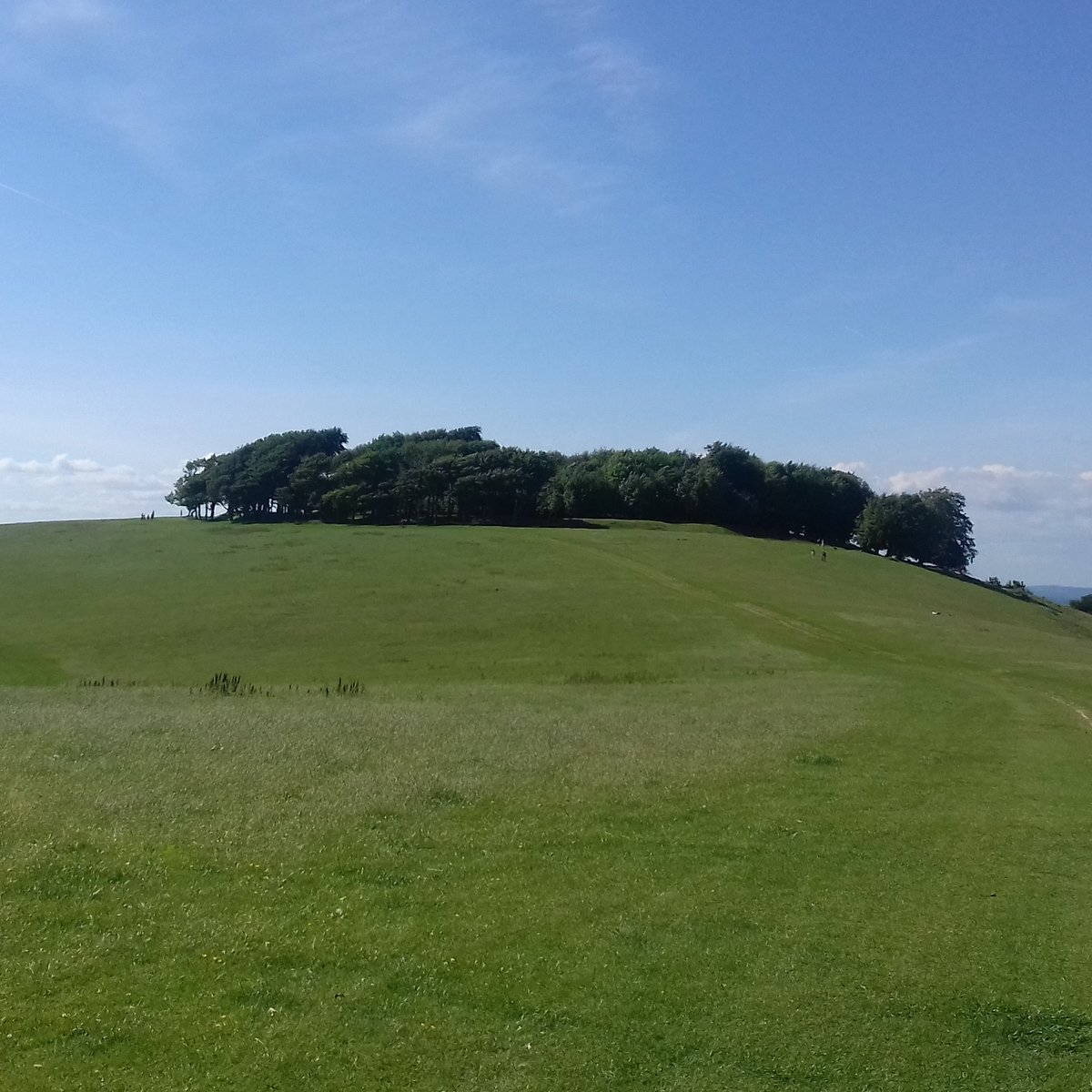 The next day, Saturday, was blisteringly hot, and as the lyrics describe, the sky was 'wrecklessly blue'. Reader, we walked the Ring.