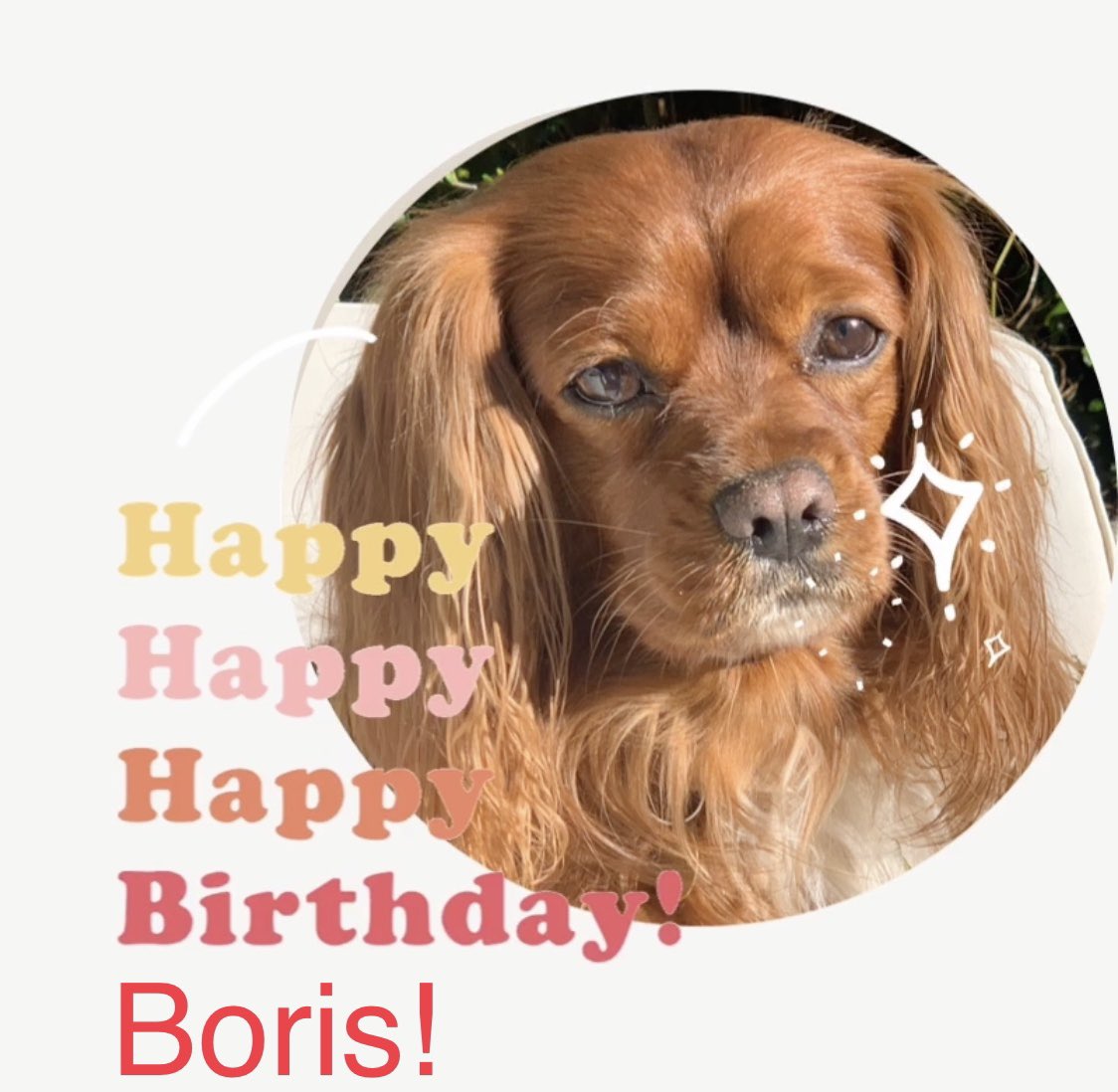   Wishing Prime Minister Boris Johnson a very Happy Birthday! 