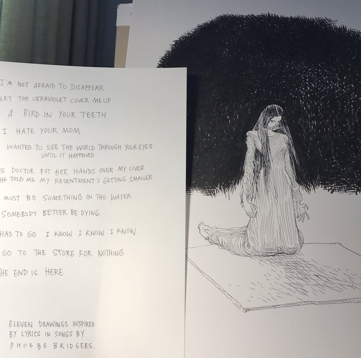 Phoebe Bridgers - Punisher: lyrics and songs