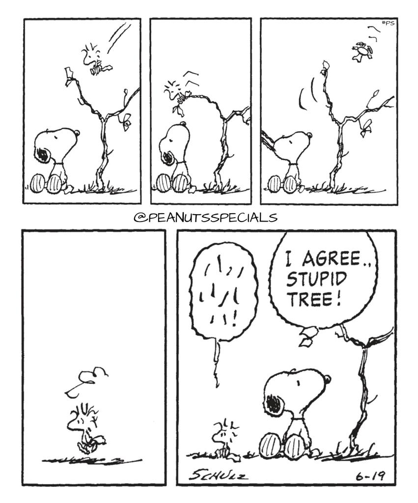 PeanutsSpecials's tweet photo. First Appearance: June 19, 1998
#snoopy #woodstock #iagree #stupidtree #stupid #tree #peanutsfriday #peanutshome #peanuts #pnts #ps #schulz #peanutsspecials https://t.co/bvQFRsXDwj