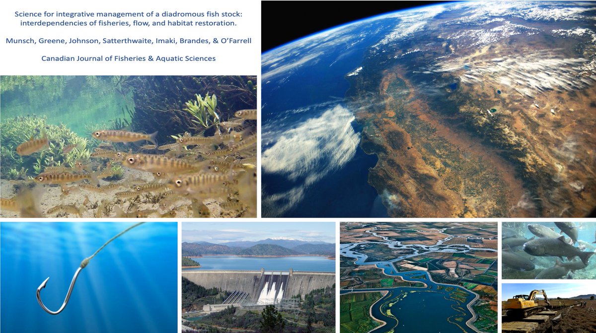 New paper w/<a href="/CAfishdiaries/">Dr Rachel Johnson</a> &amp; @satterwill. How we might  coordinate decisions across management realms (e.g., restoration, fishing, water regulation) to enhance conservation outcomes for fish like salmon in CA's Central Valley doi.org/10.1139/cjfas-…