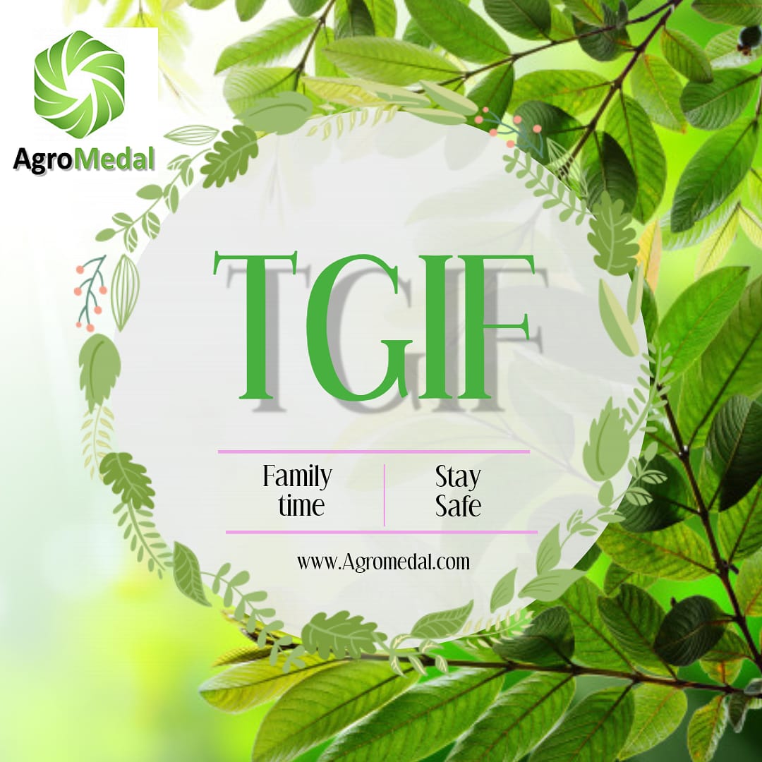 agromedal's tweet photo. TGIF!  Have a safe and healthy weekend.

https://t.co/BRYR0ci6d4 .
.
.
#transportation #uber #ubernigeria #tgif #stayhome #staysafe #ministryofhousing #ministryofurbandevelopment #abuja #ogunstate #portharcourt #sokoto #kano #arewa #fridaymode #blackfriday #blacklivesmatter https://t.co/PlDE7L2lz0