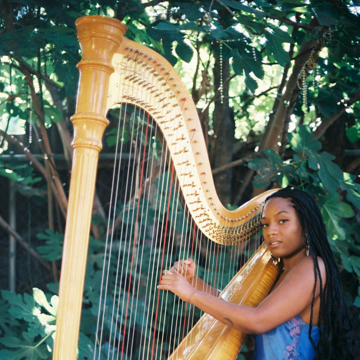 If ur you're doin the bandcamp thing today as a way to donate $ here are my personal suggestions! First is  @nailah_hunter 's EP "Spells" Gorgeous droney harp compositionsfrom one of my fave labels  @LEAVINGRECORDS Magic ! !!!!! https://nailahhunter.bandcamp.com/ 