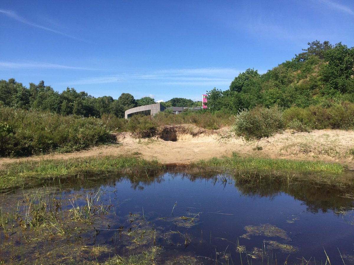 Dit weekend zijn wij ook buiten. 🍀☀️ Vanaf volgende week is Buitencentrum Schoorlse Duinen weer dagelijks open (10-16u), dankzij onze vrijwilligers. #wemissenjullie