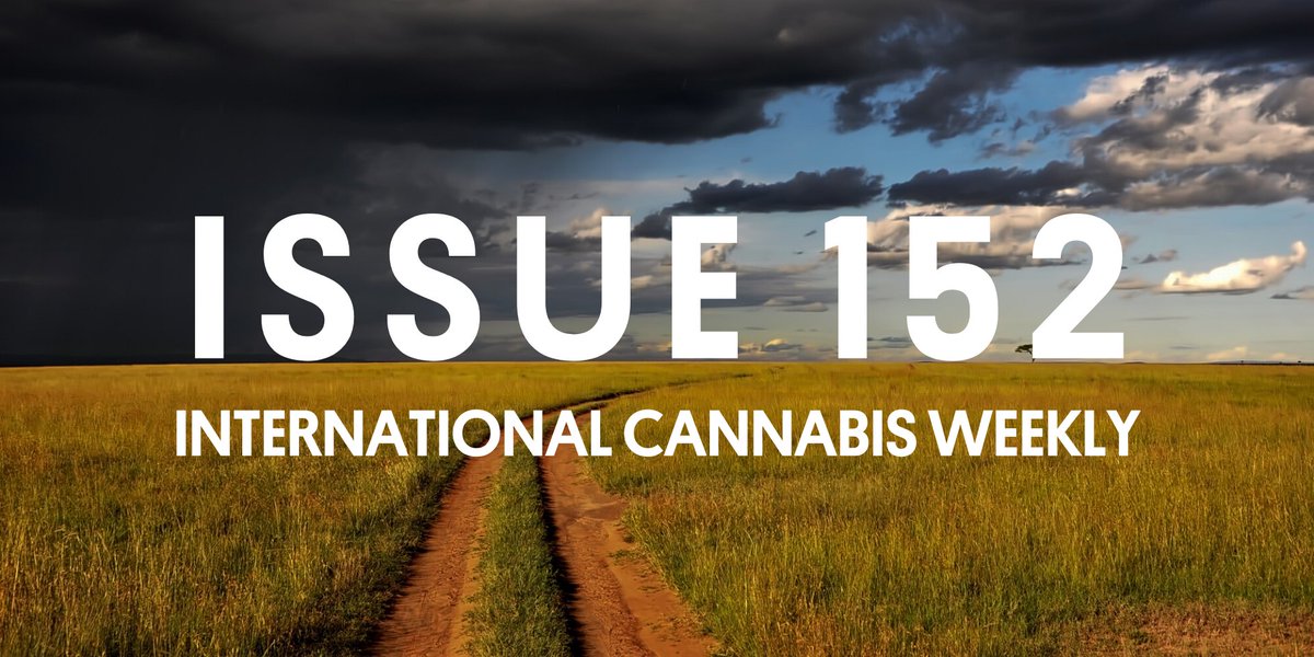 prohibition_p's tweet photo. 🇫🇷60 elected French officials call for cannabis legalisation post-pandemic
🇨🇭Switzerland releases details on upcoming recreational cannabis experiment
🇺🇳UN to meet next week to discuss cannabis policy recommendations

All this and more in Issue 152: https://t.co/q6RSLBolQ7 https://t.co/RiqWDQmiB2