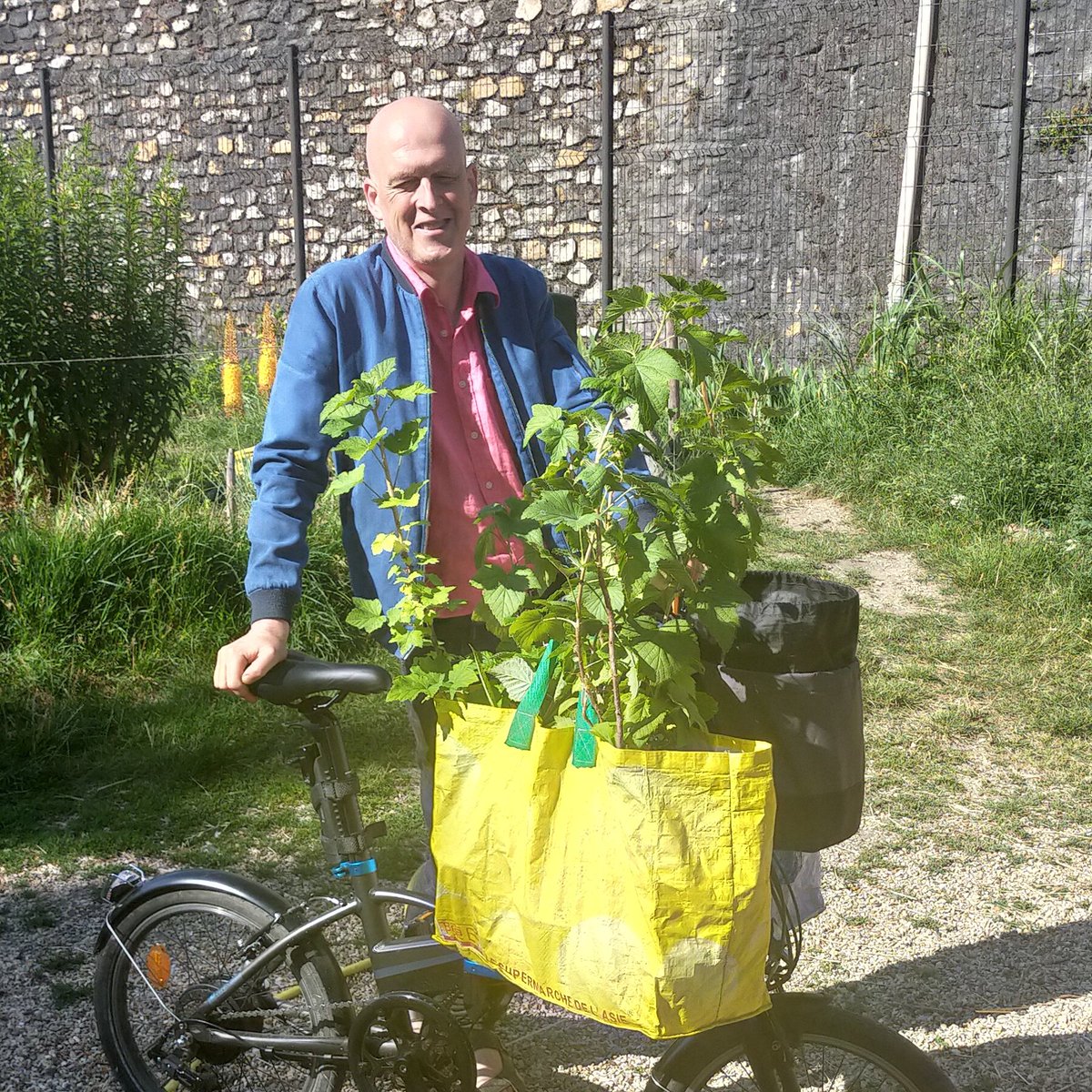 Les plantes 🌿 ont été récupérées #PépinsProduction 
Nous planterons des petits fruits framboise, groseilles, cassis et aussi aromatique pour Les 48h de l'agriculture urbaine

Nous vous attendons : 
samedi à 15h facebook.com/events/2687432…
Oui Dimanche a 10h facebook.com/events/1551163…