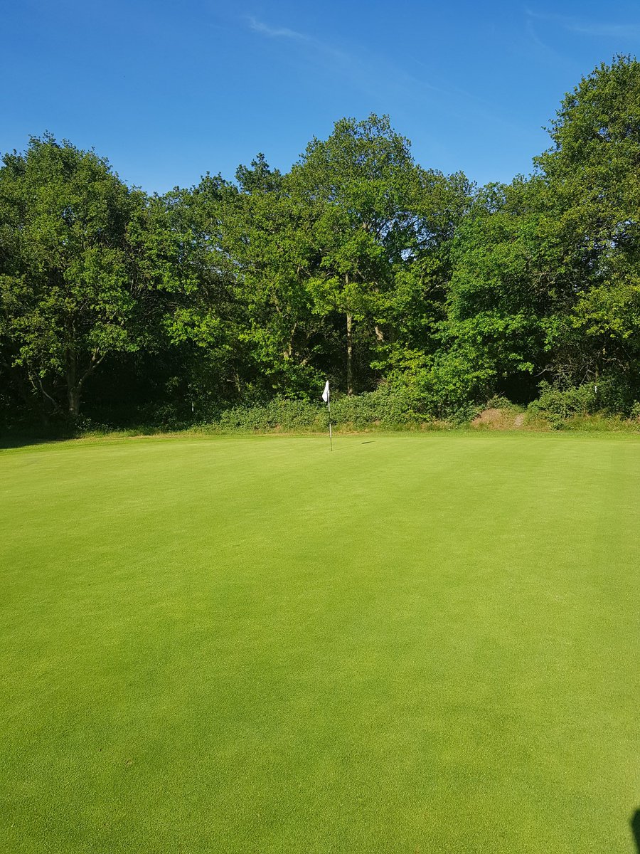 @RushmereGolfClub tweet media