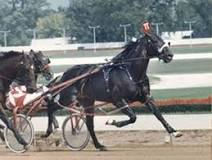 Joe FitzGerald tweet media