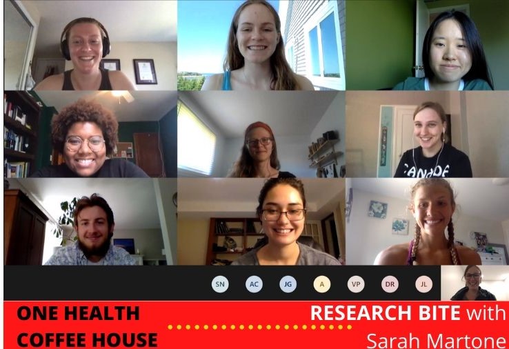 OHstudentsuofg's tweet photo. Thanks to everyone who joined us today for our 1st #ResearchBite. We had an amazing turn out! Big thanks to Sarah for her talk on #Leptospira and how literature synthesis can point out the gaps in our knowledge

Stay tuned for 2 more events next week! #Onehealth #research https://t.co/FyqiEYMEBN