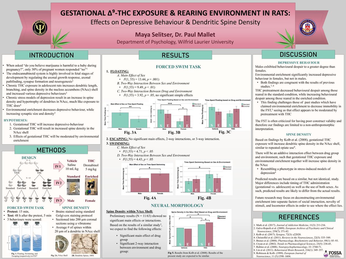 mayaselitser's tweet photo. We investigated the effects of prenatal THC exposure on depressive behaviour in adolescent rats, as well as effects on neuron morphology. Unfortunately neural data collection was halted due to COVID; behavioural results and anticipated neural results are described #aoputc2020 https://t.co/LTHCovuv5Y