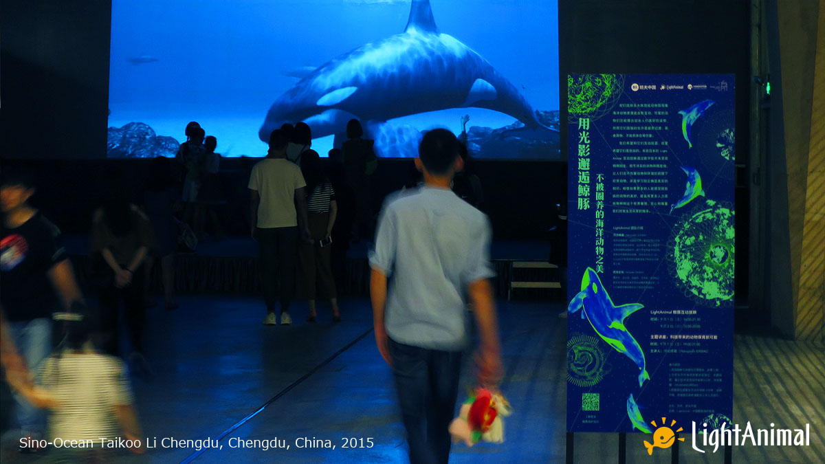 LightAnimal's tweet photo. Sino-Ocean Taikoo Li Chengdu, Chengdu, China, 2015
#LightAnimal #ChinaCetaceanAlliance #BanffChina #InteractiveWhaleDisplay #IndoorWhaleWatching #Orca https://t.co/B9hXHmAWdm