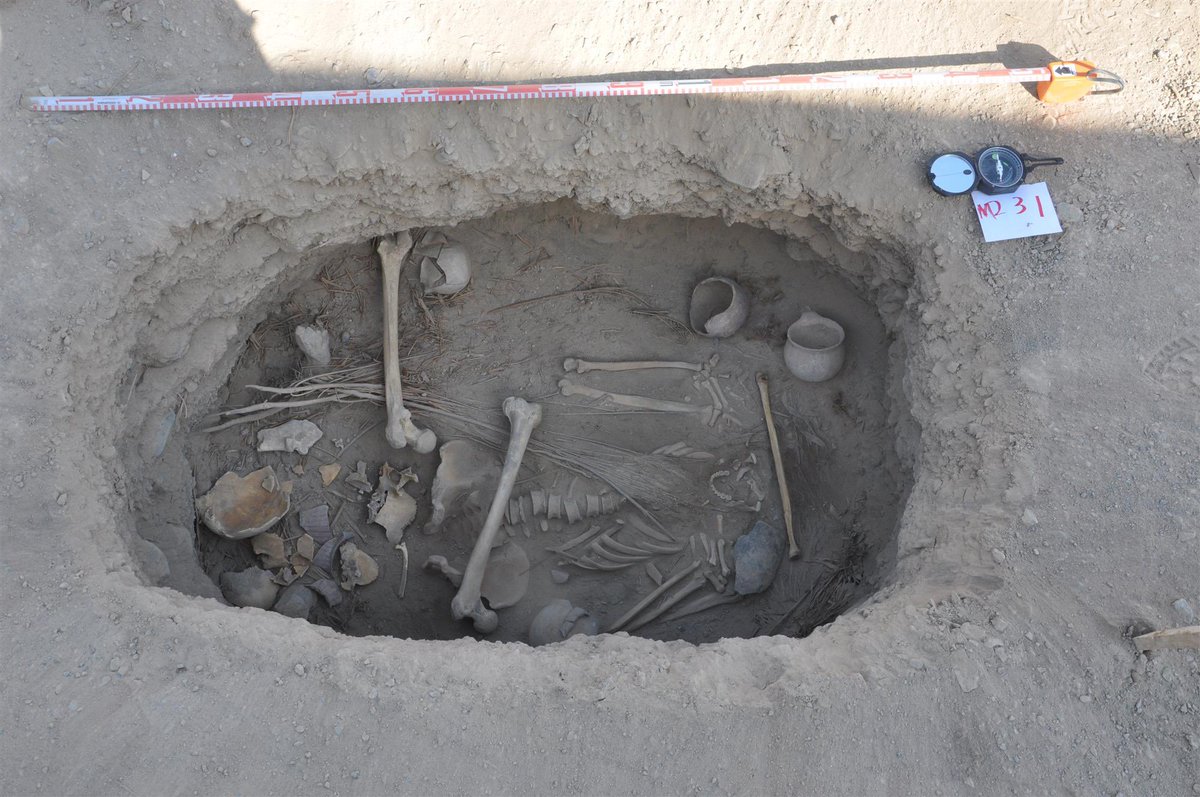 relatandohisto1's tweet photo. En el cementerio Jiayi en Turfán (China), hallaron una tumba de apróximadamente 2800 años de antigüedad con 13 plantas enteras (90 cm longitud) de Marihuana en un estado de conservación asombroso.
La tumba era de un hombre de unos 35 años, que seguramente fue un chamán local. https://t.co/tbTDAXdx6j