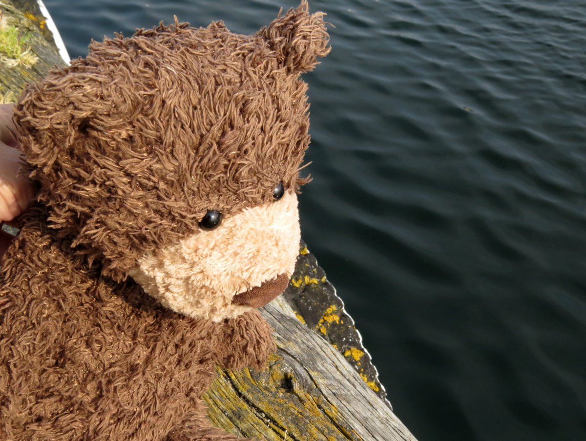 Deano_bear's tweet photo. I pooped now. Have luvly weekend fwiends!

#Midsummer2020 https://t.co/lhbOUDNV57