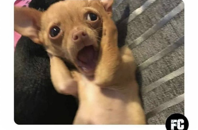 Los tóxicos enterándose que ya Whatsapp no tendrá “En línea” ni “Escribiendo”.