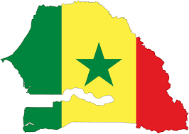 sylayesy's tweet photo. @BosonDeHiggs4 @Macky_Sall @elhadjkasse @Mamadou86663560 @amadoud98130314 @AbassSall10 @BocoumAmadou14 @tousaye @KalidouNdia @PendaAnne1 @PapeFal84616810 @babathiombane A l'instar du Pr Mamadou Diouf beaucoup d'éminents professeurs brillent dans leur domaine dans les plus prestigieuses #universités du mondes. Ces dignes fils du #Sénégal font notre fierté. Ils sont nos #embassadeurs.
A quand le grand retour ?
@Macky_Sall https://t.co/nn8hp8EztQ