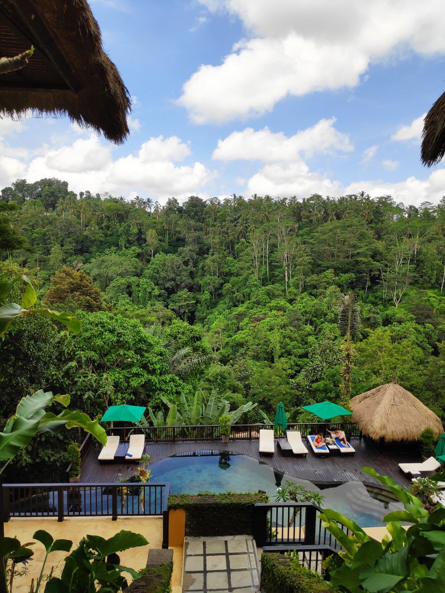Nandini Jungle Resort, Gianyar