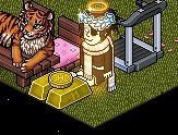 M3ganRocks's tweet photo. 👑 COIN 💛 GIVEAWAY 👑
💛.com only💛

💛retweet
💛follow me and @VolBeatz_Habbo
💛subscribe to my Channel https://t.co/FBbCLkcu2k

💛 tag as many friends as you want i love you guys!

💛💛💛ends at the end of JUNE💛💛💛or if we reach 200 subs ;) 
PLEASE COMMENT YOUR CHANNEL NAME https://t.co/mj73wipgH0