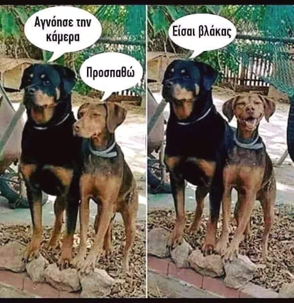 Ea5N_vGXkAAJWJK?format=jpg&name=small