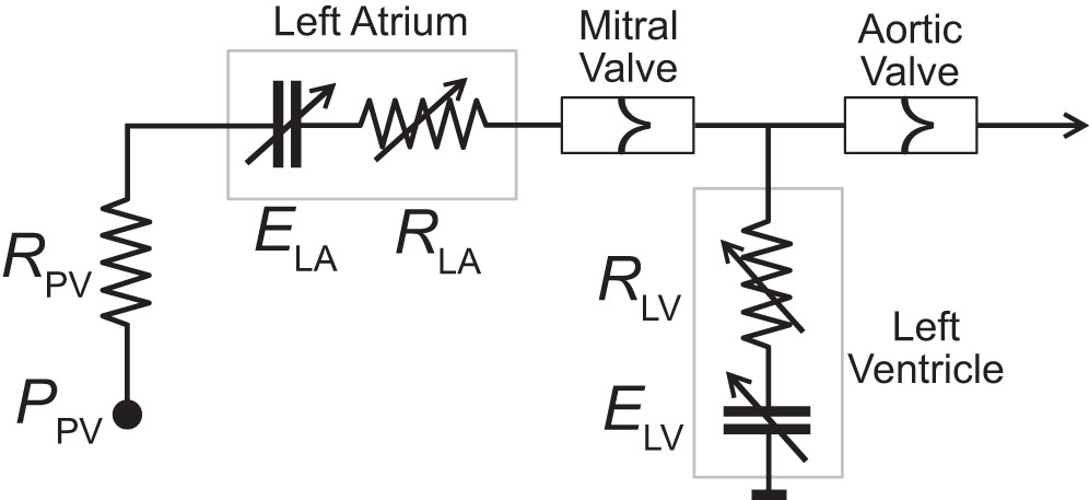 ajpheartcirc's tweet photo. #ImagesoftheWeek Conduit arterial wave reflection promotes pressure transmission but impedes hydraulic energy transmission to the microvasculature
https://t.co/sMWzx70v0O
@MCRI_for_kids
#aging #microcirculation #pulsatility https://t.co/wBwyO6TlX0