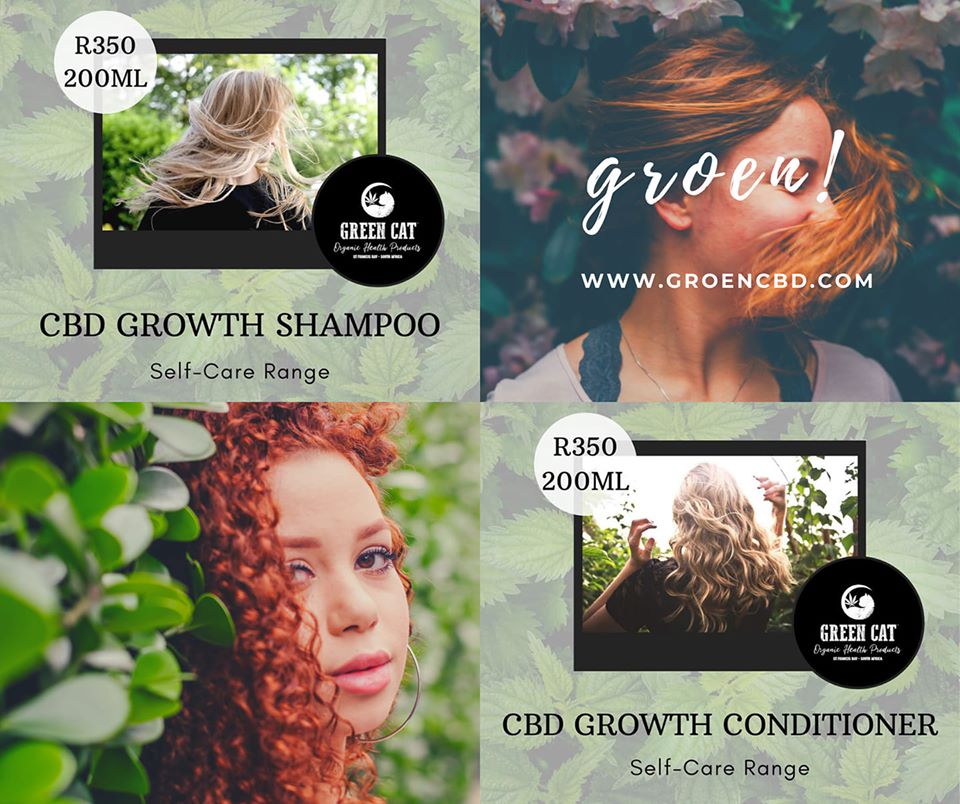 GroenCBD's tweet photo. Pure FECO CBD oil, coconut oil, rose water, keratin, kelp, Japanese cherry blossom and horsetail https://t.co/yxpSwgC683 #cbdcare #cbdselfcare #cannabisbeauty #cannabiscare #groencbd #organicbeauty #naturalbeauty #cbdlife #cannabislife #localcbd #allnatural https://t.co/ClFy5whf1E