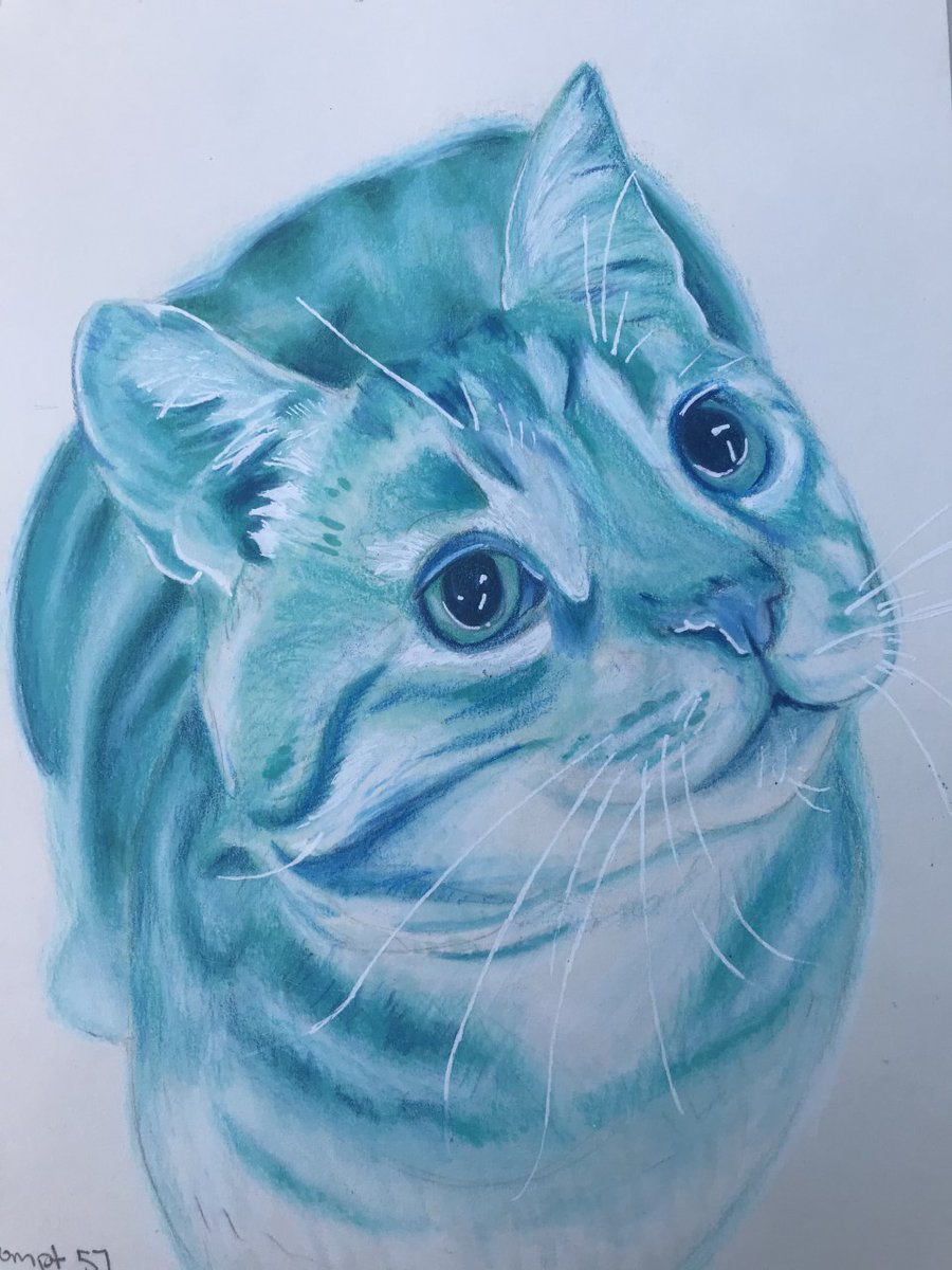 janice kovar tweet media