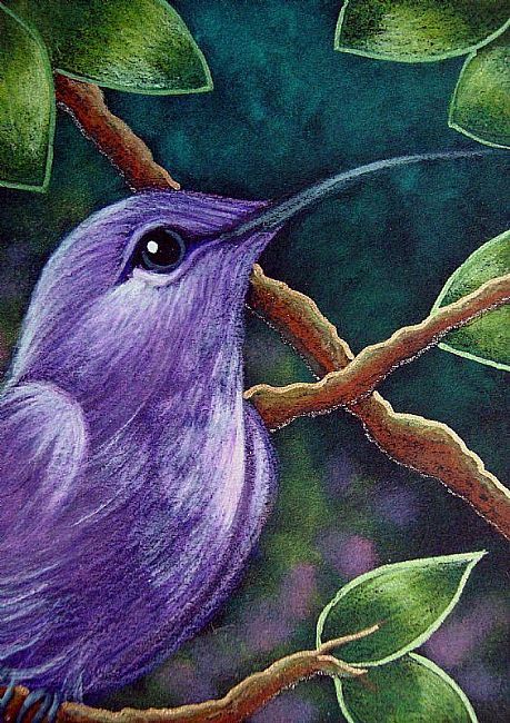 gladhill_in's tweet photo. " The Flight Of The Humming Bird " https://t.co/MoHtoAZrB8