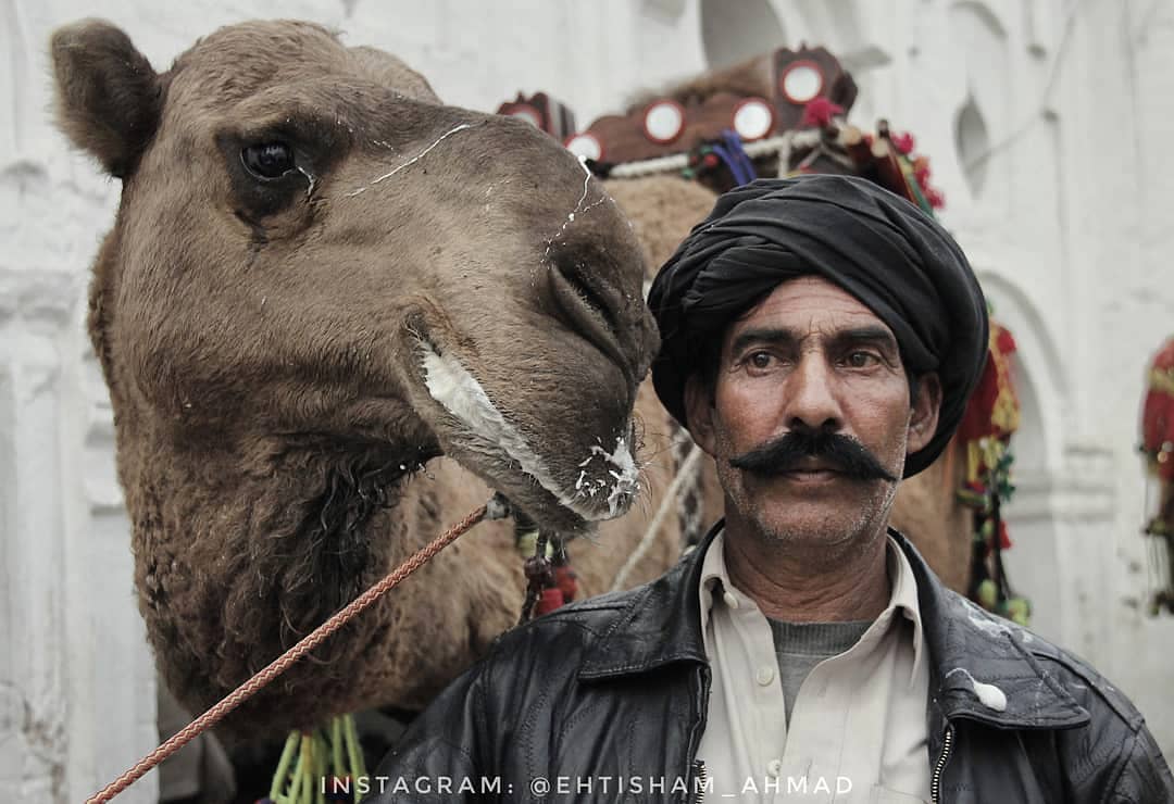 A man with his camel, Kalyam Shareef 