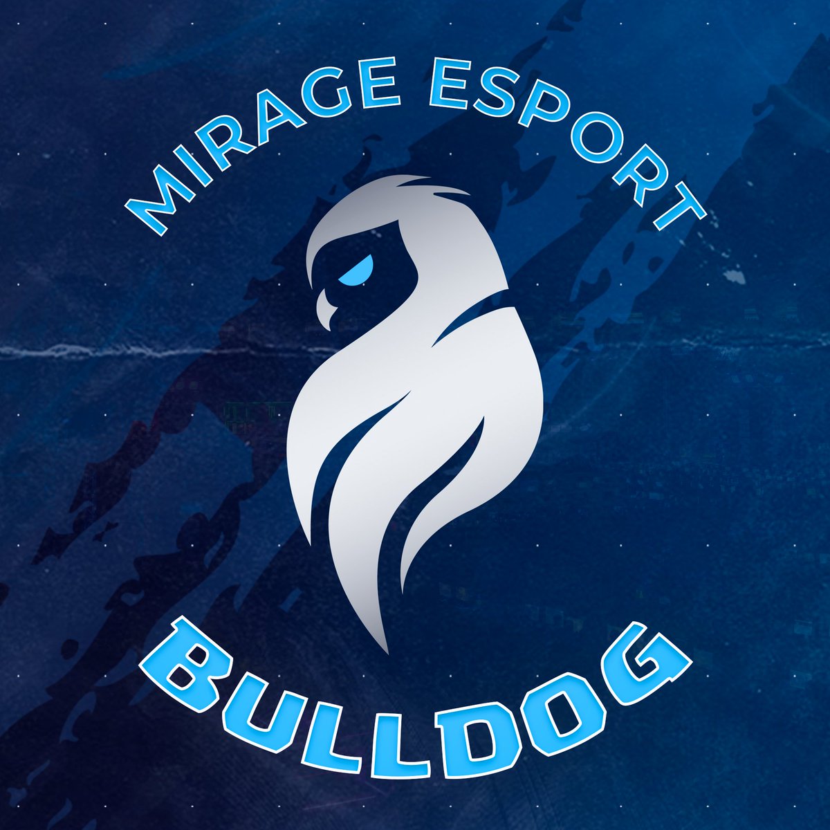 BulldogSD1's tweet photo. #NouvellePhotoDeProfil https://t.co/2l7g2pkZbV