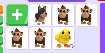 ArtsyBellx's tweet photo. hey, so i quit adopt me, and im looking for royale high stuff! let me know if you want anything for any diamonds or stuff! :D https://t.co/cAFl6m6pvJ