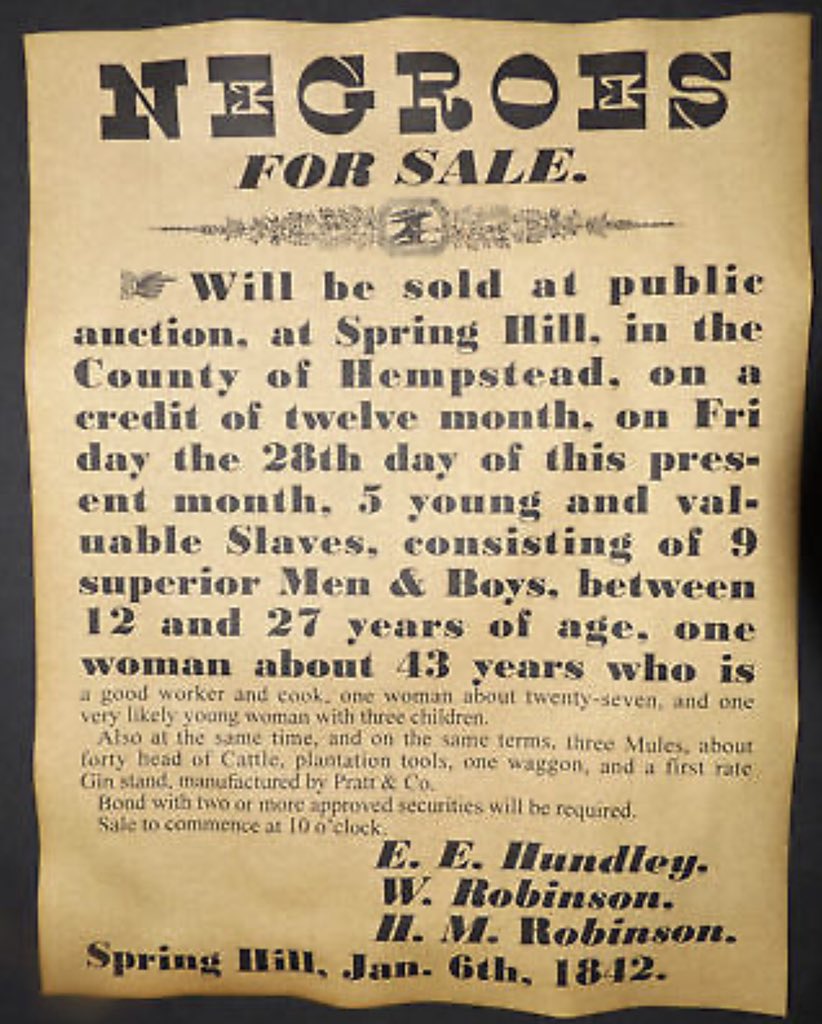 QUAZEDELIC/SUNSET tweet media