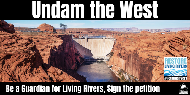wildearthguard's tweet photo. Your help is needed to protect #livingrivers! The West has over 3,500 dams, yet new dams are proposed all around the region. Sign this petition to stand up for living rivers, #cleanwater and critical habitat for fish and #wildlife: https://t.co/VNouvMLtSB https://t.co/al1Whx5Cka