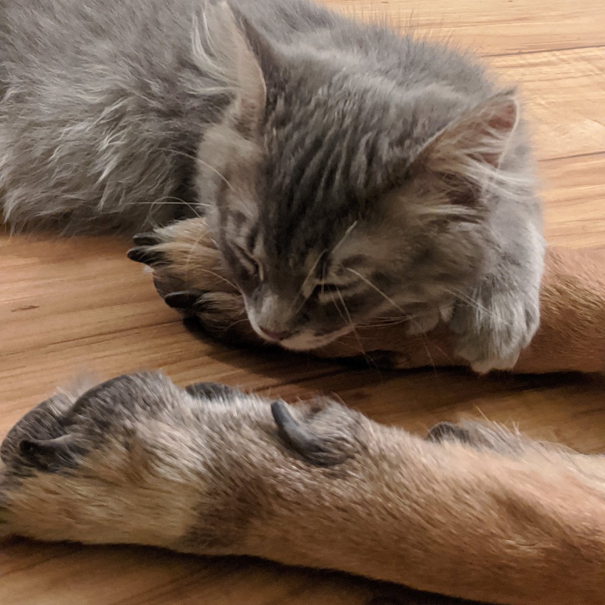 mine Bïg freind ,,is å confy píllow