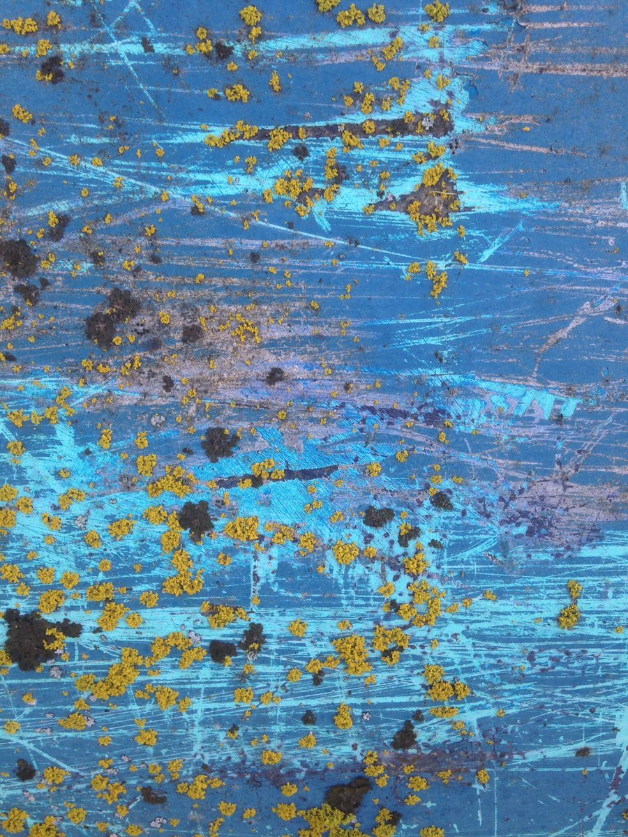 Today <a href="/Bandcamp/">bandcamp</a> is donating its share of sales to the <a href="/NAACP_LDF/">Legal Defense Fund</a> 

We put out a new track and will be donating our proceeds to Paisley’s care fund for Black and Indigenous activists 

Donate directly: hello@paisleyeva.com

paleredband.bandcamp.com