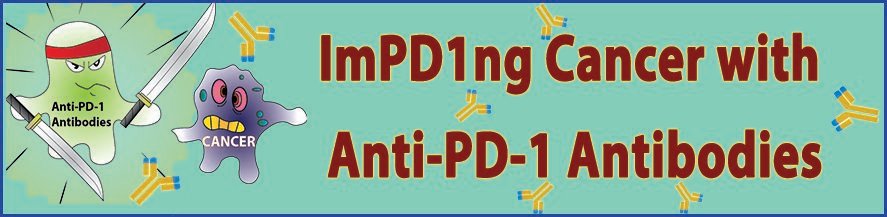 BioVision_Inc's tweet photo. BioVision is pleased to offer numerous anti-PD-1 antibodies for PD-1 immunotherapy research. These antibodies are available either as biosimilars or in conjugated formats. https://t.co/yCZkvanVtO https://t.co/o1kUTFryKZ