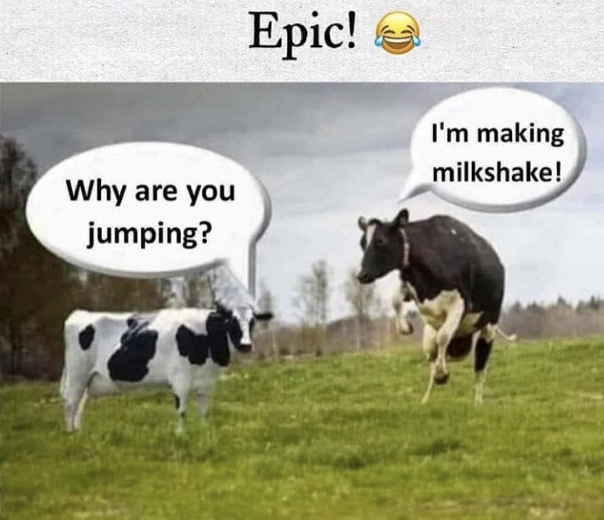 Happy Friday peeps #FridayMotivation #FridayFeeling #FridayThoughts #joke #BadJokeFriday