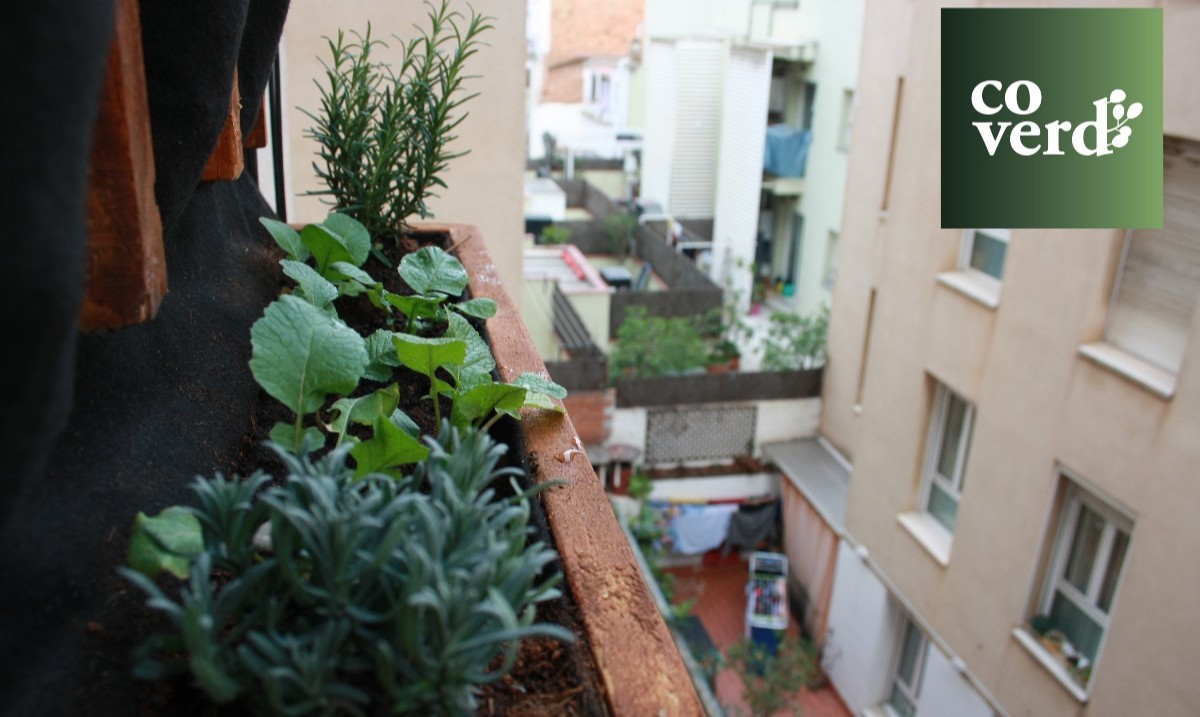 Us deixem un tastet visual d'un dels nostres projectes més estimats i ambiciosos. Estigueu alerta que d'aquí ben poc compartirem el jardí sencer!  #Coverd #Fetamida #bcnposatverda #renaturalitzembcn  #verdurbà #Finestres #balcons #natura #elnostreverd #plantes #ciutat