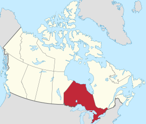 Red Leaf Canada tweet media