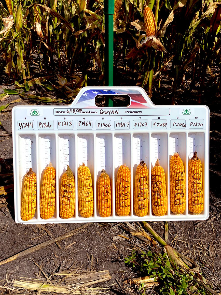 Sales Rep, Jon Gwynn, using his super powers to push the storm clouds away from his <a href="/PioneerSeeds/">Pioneer Seeds U.S.</a> field day yesterday. Thank you to the growers that were able to attend this great field day during this busy time of year. Happy Harvest! #pioneerfieldday #southtexas #harvest2020