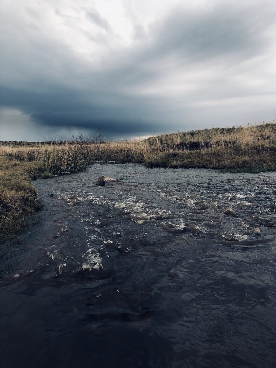 magmontesdeoca's tweet photo. Perdonen la intensidad pero no soy yo, es el cielo uruguayo que parece que pide que le saquen fotos. https://t.co/XuqH7OIDOC